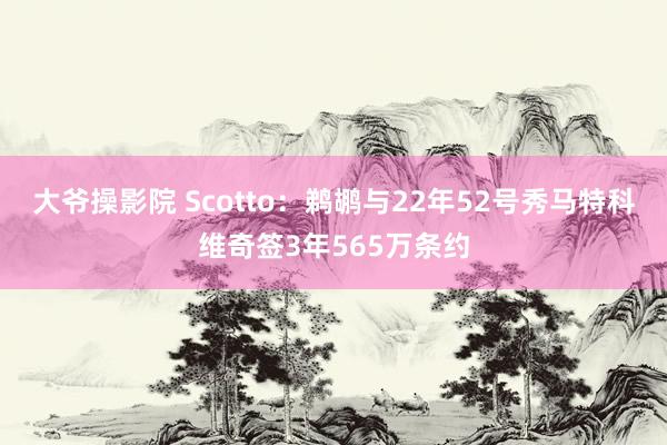 大爷操影院 Scotto：鹈鹕与22年52号秀马特科维奇签3年565万条约