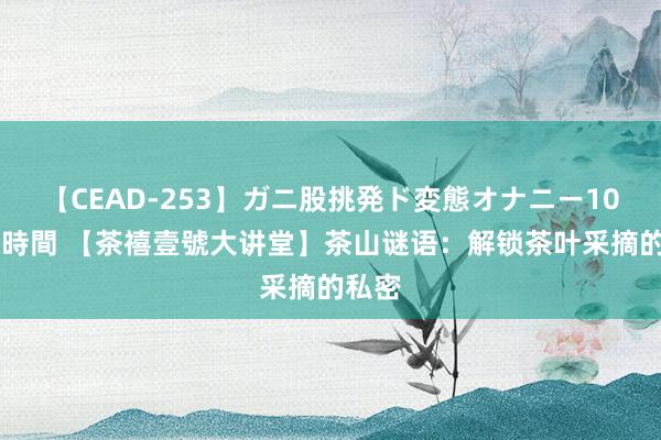 【CEAD-253】ガニ股挑発ド変態オナニー100人8時間 【茶禧壹號大讲堂】茶山谜语：解锁茶叶采摘的私密