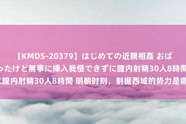 【KMDS-20379】はじめての近親相姦 おばさんの誘いに最初は戸惑ったけど無事に挿入我慢できずに膣内射精30人8時間 明朝时刻，割据西域的势力是哪些？