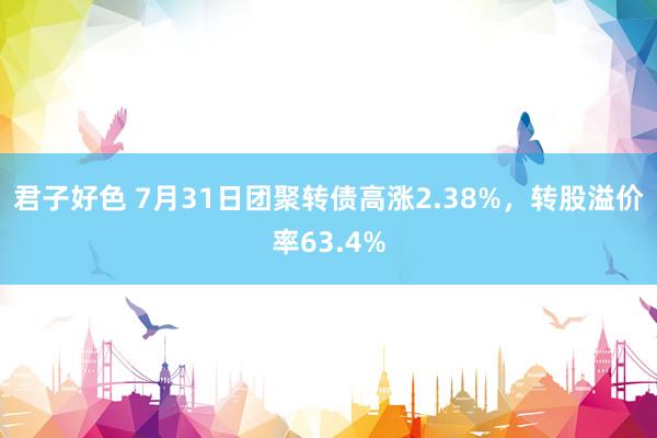 君子好色 7月31日团聚转债高涨2.38%，转股溢价率63.4%