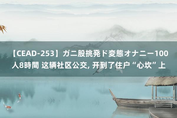 【CEAD-253】ガニ股挑発ド変態オナニー100人8時間 这辆社区公交， 开到了住户“心坎”上