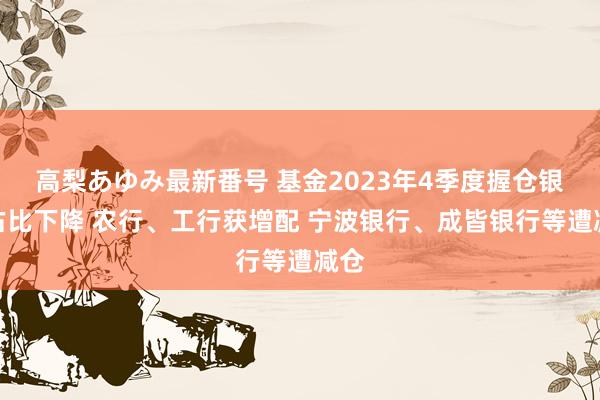 高梨あゆみ最新番号 基金2023年4季度握仓银行占比下降 农行、工行获增配 宁波银行、成皆银行等遭减仓