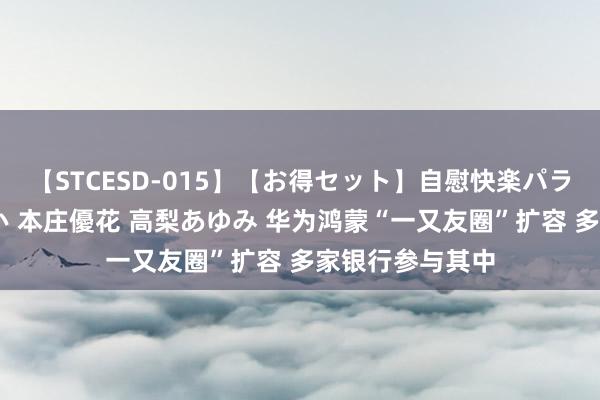 【STCESD-015】【お得セット】自慰快楽パラノイド 大場ゆい 本庄優花 高梨あゆみ 华为鸿蒙“一又友圈”扩容 多家银行参与其中