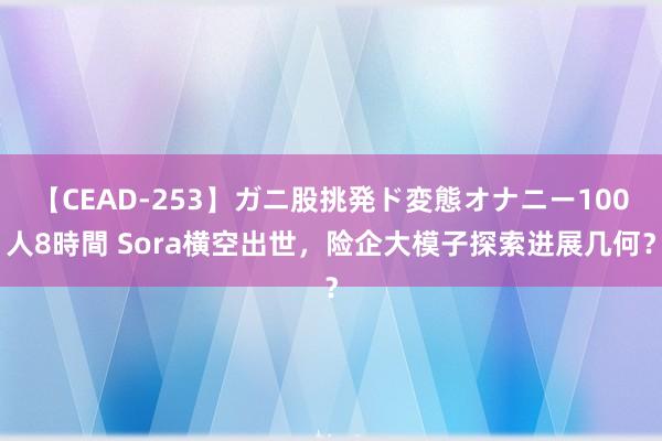 【CEAD-253】ガニ股挑発ド変態オナニー100人8時間 Sora横空出世，险企大模子探索进展几何？