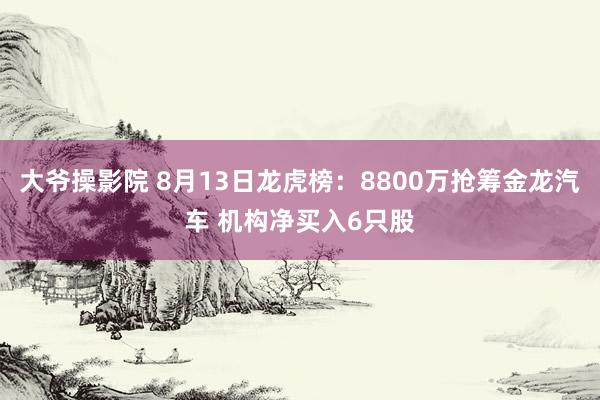 大爷操影院 8月13日龙虎榜：8800万抢筹金龙汽车 机构净买入6只股