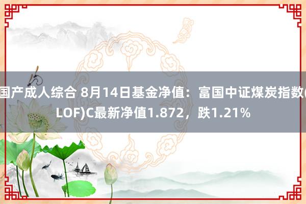 国产成人综合 8月14日基金净值：富国中证煤炭指数(LOF)C最新净值1.872，跌1.21%