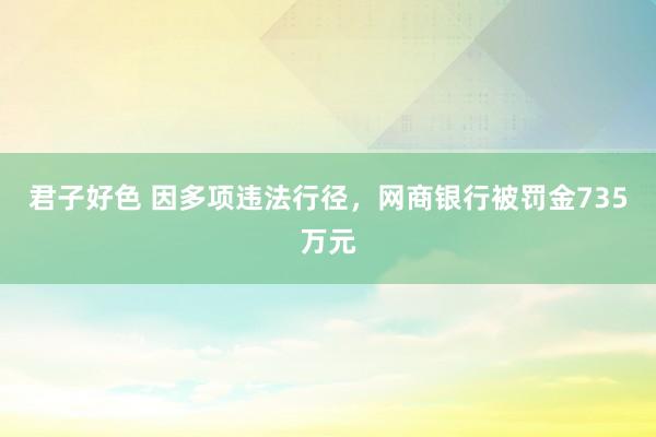 君子好色 因多项违法行径，网商银行被罚金735万元