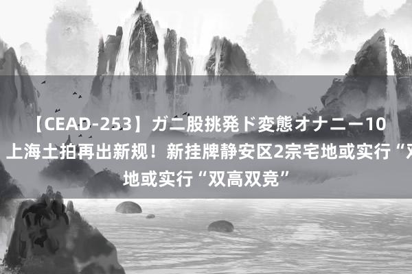 【CEAD-253】ガニ股挑発ド変態オナニー100人8時間 上海土拍再出新规！新挂牌静安区2宗宅地或实行“双高双竞”