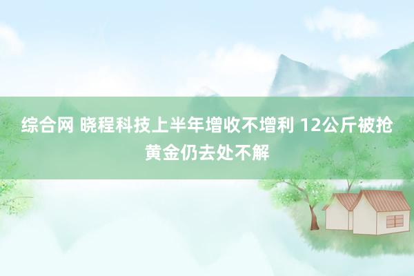 综合网 晓程科技上半年增收不增利 12公斤被抢黄金仍去处不解