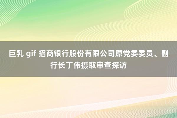 巨乳 gif 招商银行股份有限公司原党委委员、副行长丁伟摄取审查探访