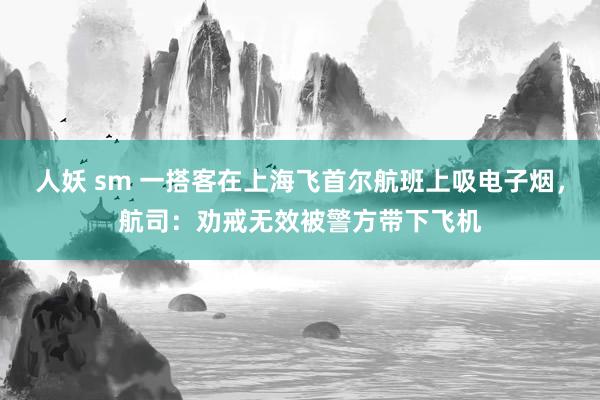 人妖 sm 一搭客在上海飞首尔航班上吸电子烟，航司：劝戒无效被警方带下飞机