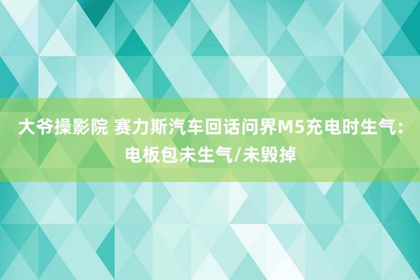 大爷操影院 赛力斯汽车回话问界M5充电时生气：电板包未生气/未毁掉