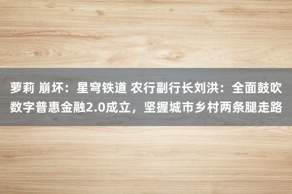 萝莉 崩坏：星穹铁道 农行副行长刘洪：全面鼓吹数字普惠金融2.0成立，坚握城市乡村两条腿走路