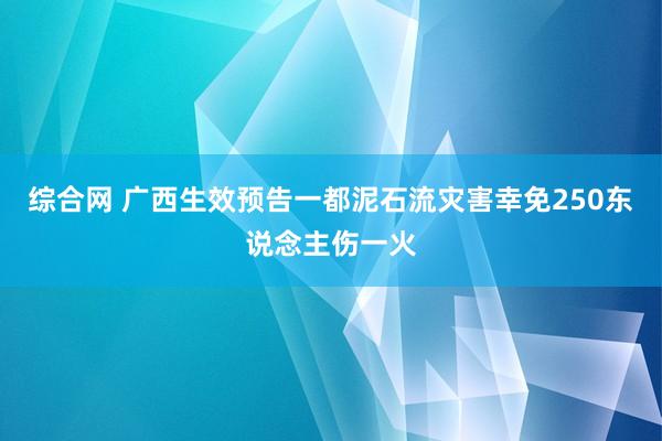 综合网 广西生效预告一都泥石流灾害幸免250东说念主伤一火